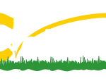 degolfproWIT-trans1