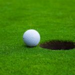 2838046 – picture of a golf ball near the hole