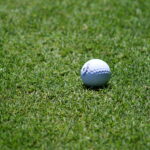 golfbal op gras